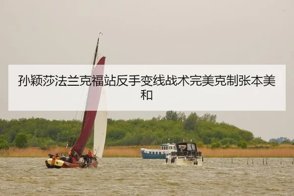 孙颖莎法兰克福站反手变线战术完美克制张本美和